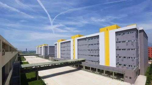 悠悠塘河風(fēng)光攝影大賽正式啟動(dòng)，邀您定格水韻，贏取驚喜大獎(jiǎng)